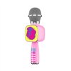 Karaoke Microphone Barbie