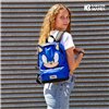 School Bag Sonic