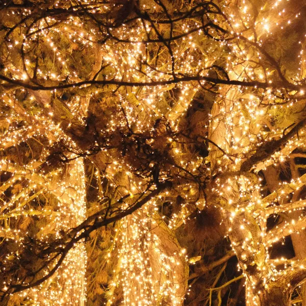 Christmas Lights Springos CL0540 500 LED, Warm White, 27.5 m, 8 Lighting Functions