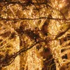 Christmas Lights Springos CL0540 500 LED, Warm White, 27.5 m, 8 Lighting Functions