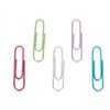Clips Pincello Multicolour Metal Medium (24 Units)