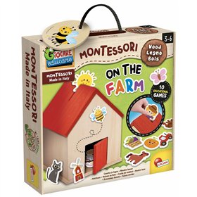 Educational Game Lisciani Giochi Montessori