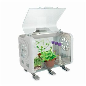 Terrarium Clementoni