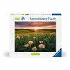 Puzzle Ravensburger Dandelions