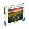 Puzzle Ravensburger Dandelions