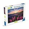 Puzzle Ravensburger Lupinen