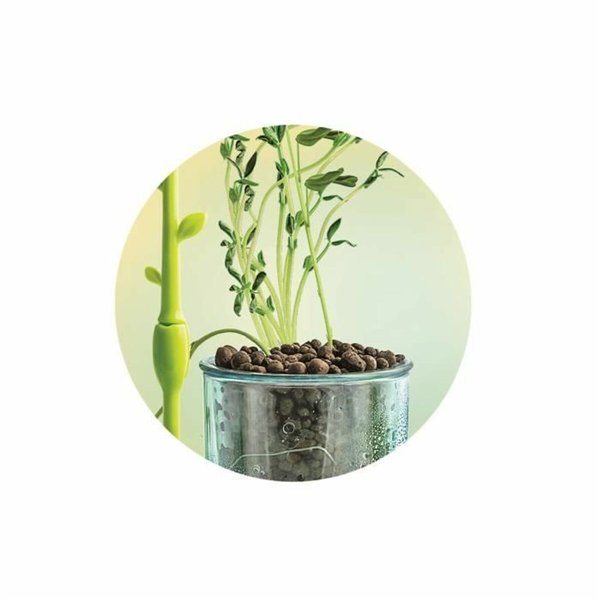 Science Game Clementoni CLEMENTONI