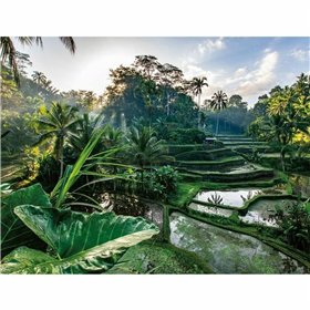 Puzzle Ravensburger Nathan