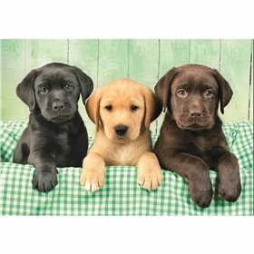 Puzzle Clementoni 1000 Pieces