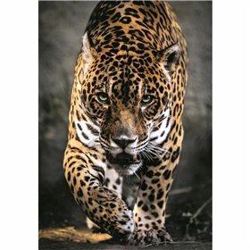 Puzzle Clementoni 1000 Pieces