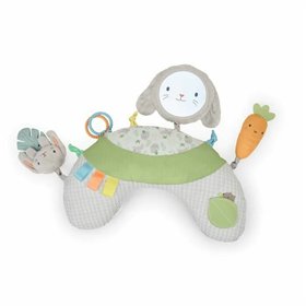 Play mat Ingenuity Cloth Foam