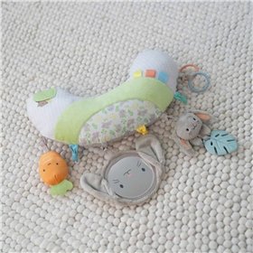 Play mat Ingenuity Cloth Foam