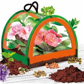 Science Game Lisciani Giochi