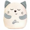 Soft toy with sounds Chicco Cat White