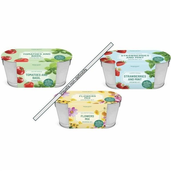 Cleaning & Storage Kit Silverlit