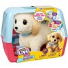 Fluffy toy Little Live Pets Multicolour