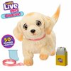 Fluffy toy Little Live Pets Multicolour