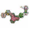 Mosaic SES Creative Beedz Art - Hex tiles Botánica (FR)