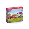 Playset Schleich Horse Club