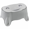 Potty ThermoBaby Grey