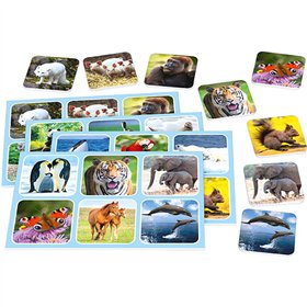 Board game Schmidt Spiele Zoo Lotto animals