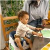 Highchair Ingenuity Blue Natural rubber