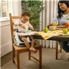 Highchair Ingenuity Blue Natural rubber