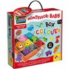 Educational Game Lisciani Giochi Colours Multicolour