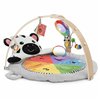Play mat Baby Einstein