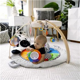 Play mat Baby Einstein