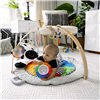 Play mat Baby Einstein