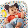 Baby Hammock Disney Mickey