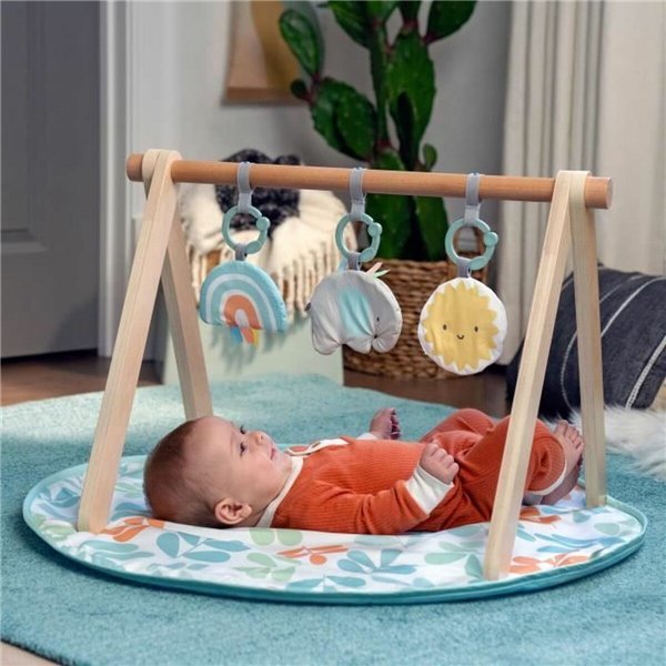 Play mat Ingenuity