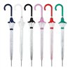 Automatic umbrella C-Collection 429 Transparent Ø 93 cm Length