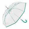 Automatic umbrella C-Collection 429 Transparent Ø 93 cm Length