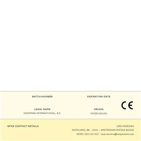 Halloween Decorations Lifetime