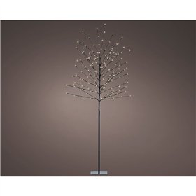 Painting set Lumineo Exterior