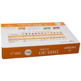 Drawing paper Canson Basik 250 Sheets