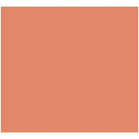 Card Iris Coral 50 x 65 cm