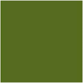 Card Iris Military green 50 x 65 cm