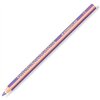 Colouring pencils Staedtler Jumbo Noris Purple (12 Units)