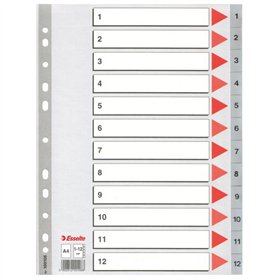 Seperators Esselte Numbered Grey A4 12 Sheets (10 Units)