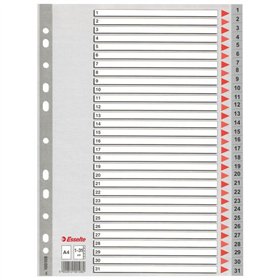 Seperators Esselte 1-31 Numbered Grey A4 31 Sheets (10Units)