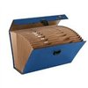Organiser Folder Fellowes Blue 25 x 36,2 x 12,4 cm Accordeon (5 Units)