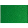 Card Sadipal LR 200 Dark green 50 x 70 cm Texturised (20 Units)