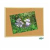 Cork board Faibo Wood Brown 60 x 90 cm (5 Units)