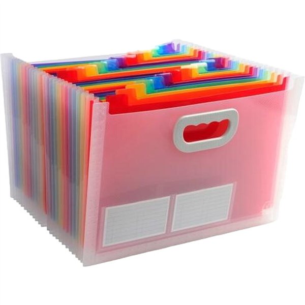 Organiser Folder Exacompta Transparent A4 (4 Units)