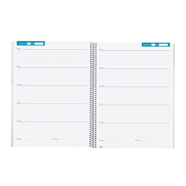 Diary Finocam Blue 23 x 31 cm Teaching