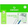 Drawing paper Canson VEGETAL BASIK A4 12 Sheets (20 Units)