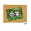 Cork board Faibo 40 x 60 cm (5 Units)